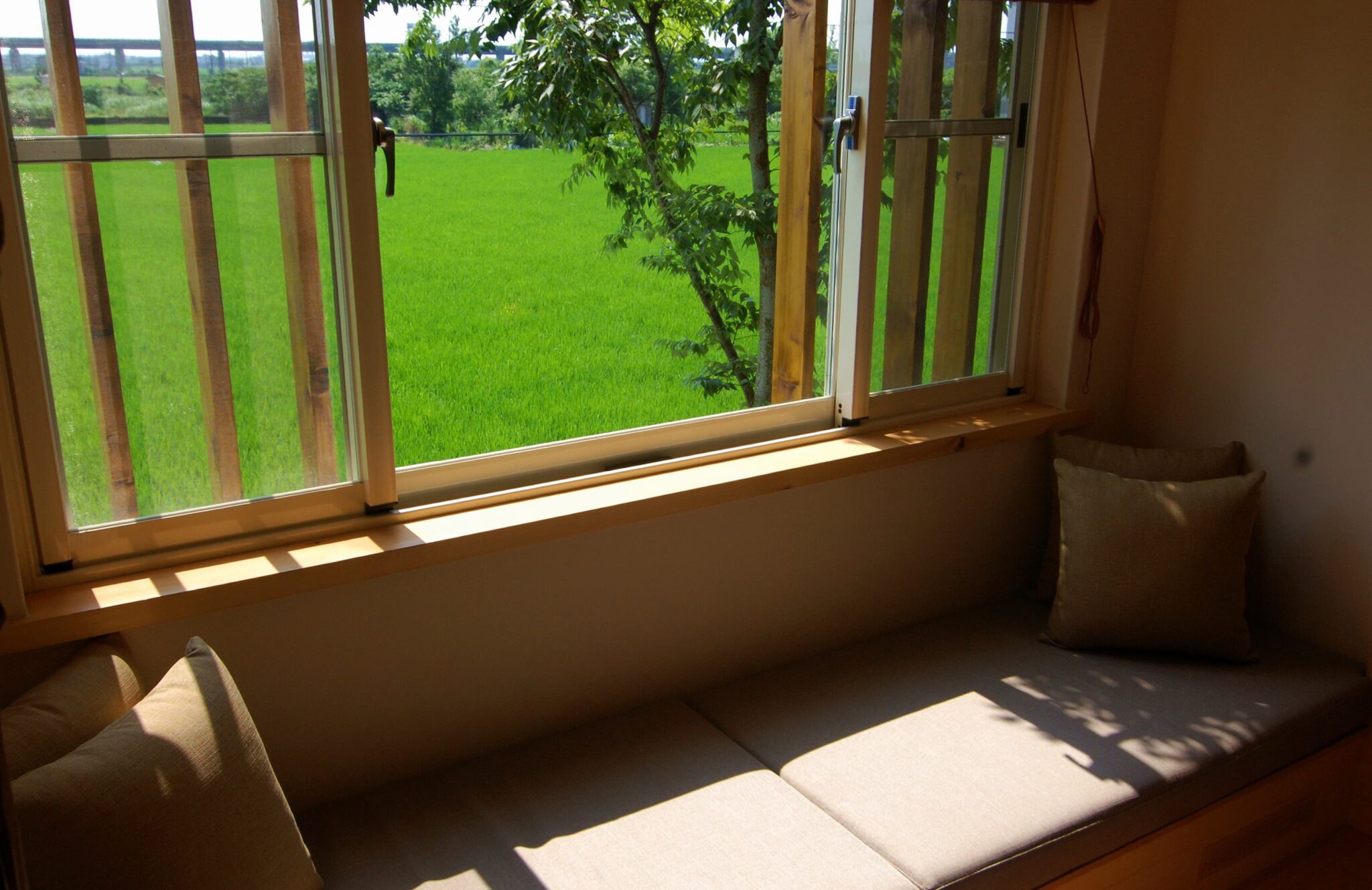 大漁日和 雲舞 雲遊客室 實景